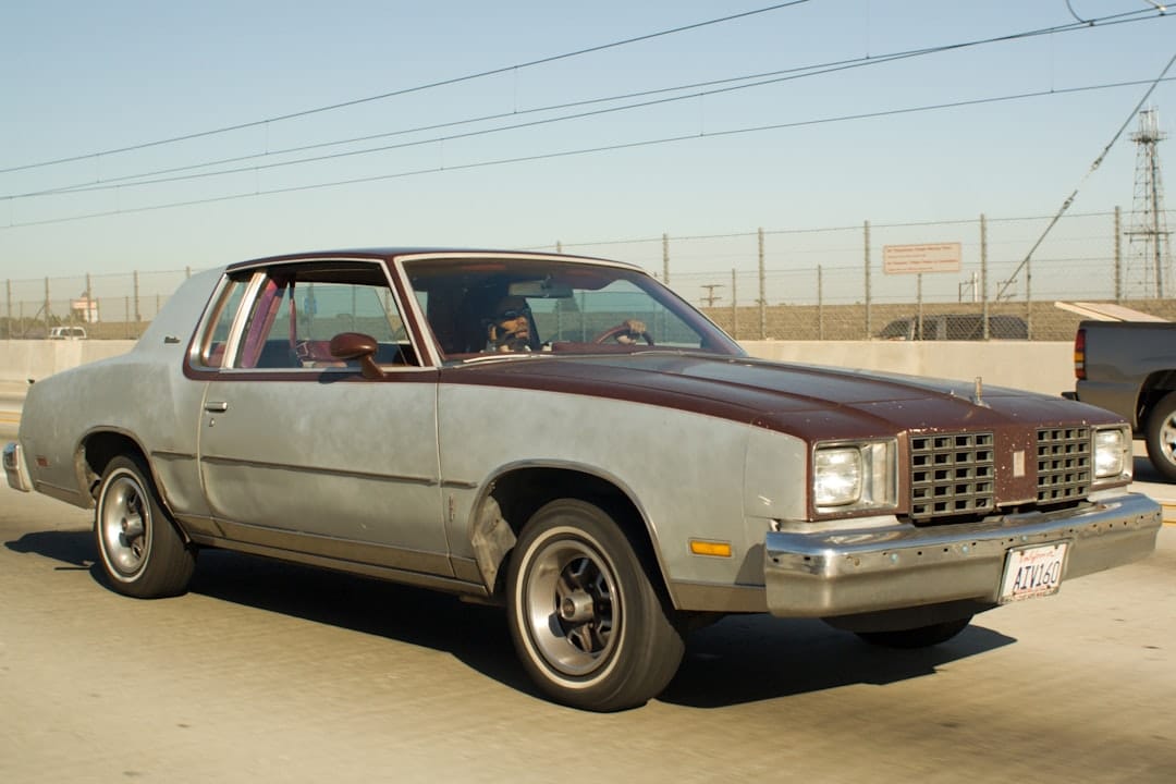 Free CNH Guide: How to Obtain a Social Driver’s License