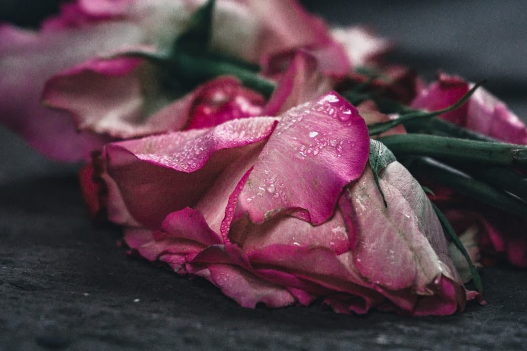 A Love Letter from Someone Who Has Passed Away