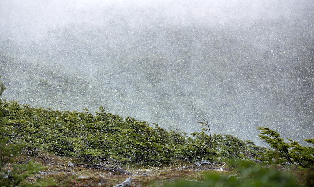 Live Rain Radar: See When It Will Rain on Your Street