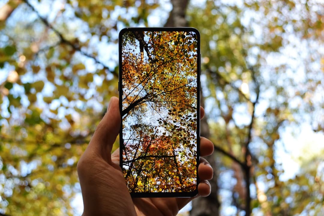 Plant Identification App: Identify Plants Instantly Using Camera